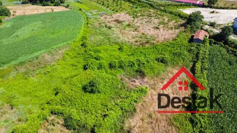 Terreno rústico Oliveira de Frades