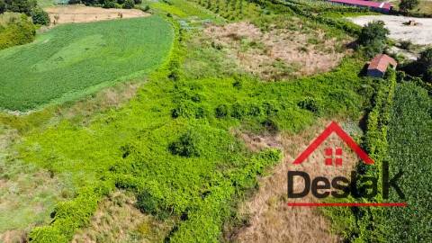 Terreno rústico Oliveira de Frades