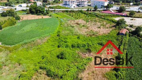 Terreno rústico Oliveira de Frades