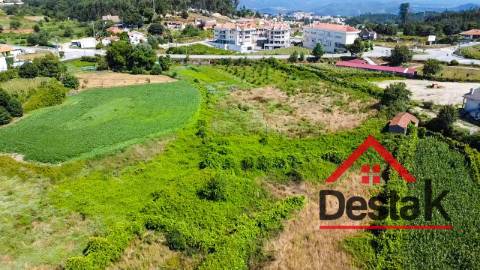 Terreno rústico Oliveira de Frades