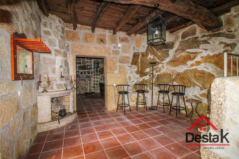 Quinta T9 para venda em Vila Maior - São Pedro do Sul