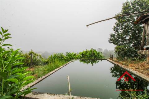 Quinta T9 para venda em Vila Maior - São Pedro do Sul