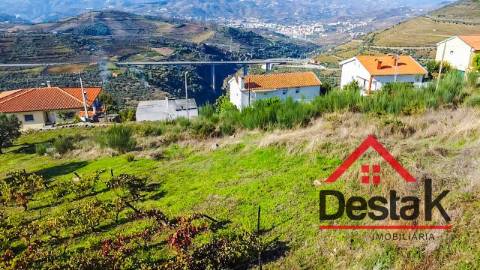 Terreno com vinha para venda no Douro