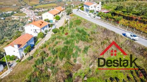 Terreno com vinha para venda no Douro
