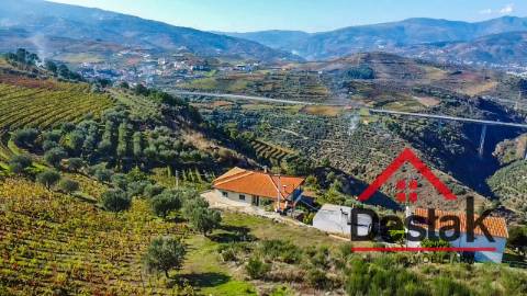 Terreno com vinha para venda no Douro