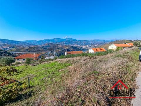 Terreno com vinha para venda no Douro