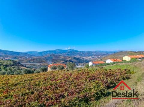Terreno com vinha para venda no Douro