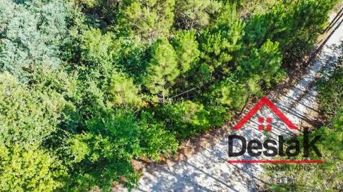 Terreno com viabilidade de construção para venda em Castro Daire