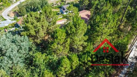 Terreno com viabilidade de construção para venda em Castro Daire