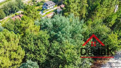 Terreno com viabilidade de construção para venda em Castro Daire