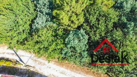 Terreno com viabilidade de construção para venda em Castro Daire