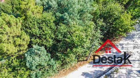 Terreno com viabilidade de construção para venda em Castro Daire