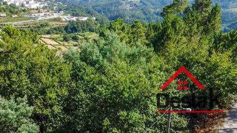 Terreno com viabilidade de construção para venda em Castro Daire