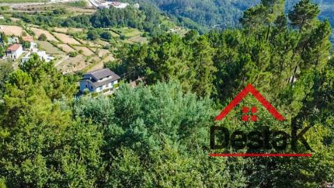 Terreno com viabilidade de construção para venda em Castro Daire