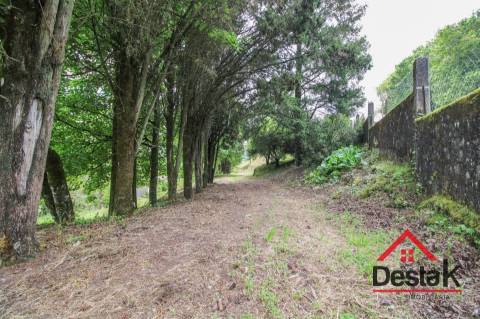 Quinta para venda em São Pedro do Sul