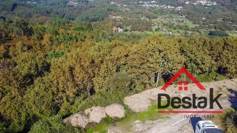 Terreno pinhal com mais de 19.000m²