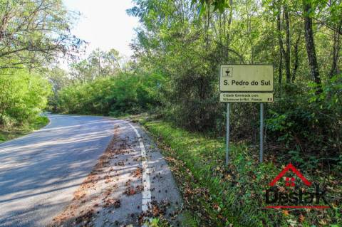 Terreno pinhal com mais de 19.000m²