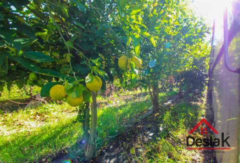 Lote urbano para construção à venda em Moçâmedes