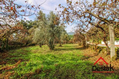 Terreno para construção e terreno misto para venda em Santa Cruz da Trapa