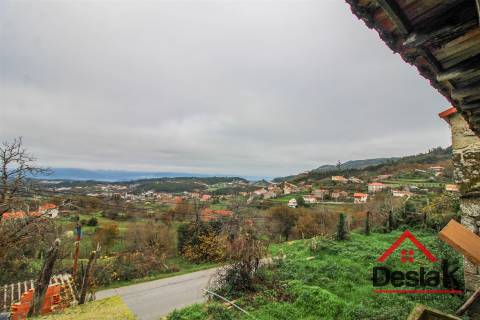 Duas Moradias para Remodelação em Cambra, Vouzela