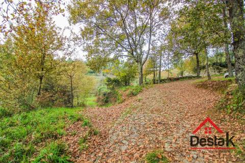 Quinta para venda em Moldes, São Pedro do Sul