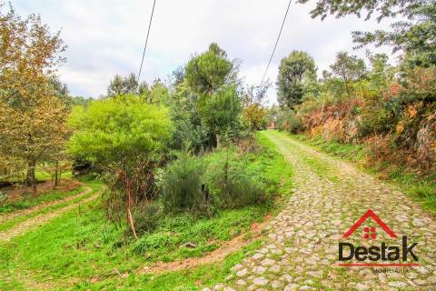 Quinta para venda em Moldes, São Pedro do Sul