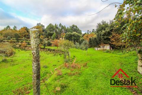 Quinta para venda em Moldes, São Pedro do Sul