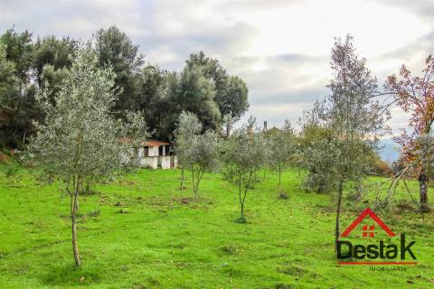 Quinta para venda em Moldes, São Pedro do Sul