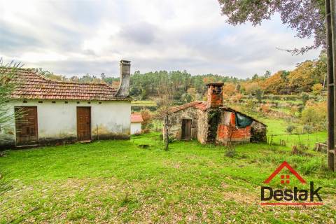 Quinta para venda em Moldes, São Pedro do Sul