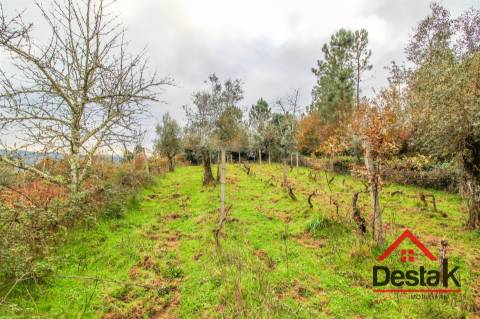 Quinta para venda em Moldes, São Pedro do Sul