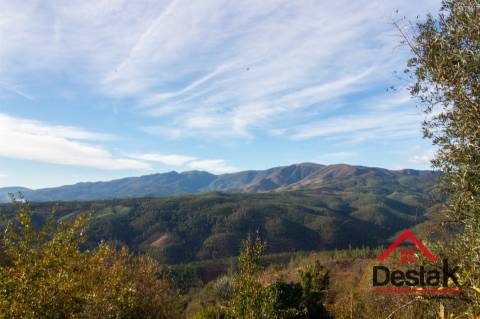 Moradia Isolada com terreno para venda em São Pedro do Sul.