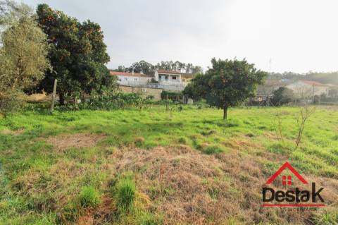 Terreno para venda em Real das Donas, Vouzela