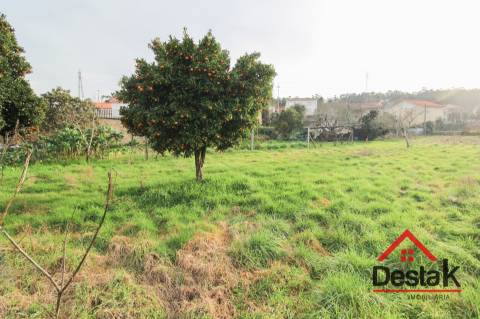 Terreno para venda em Real das Donas, Vouzela