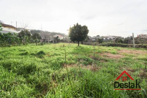 Terreno para venda em Real das Donas, Vouzela