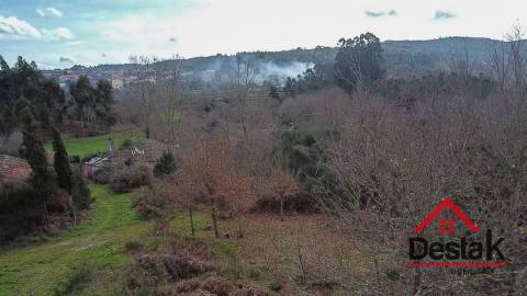 Herdade com 290.000 m2 para venda em Vouzela