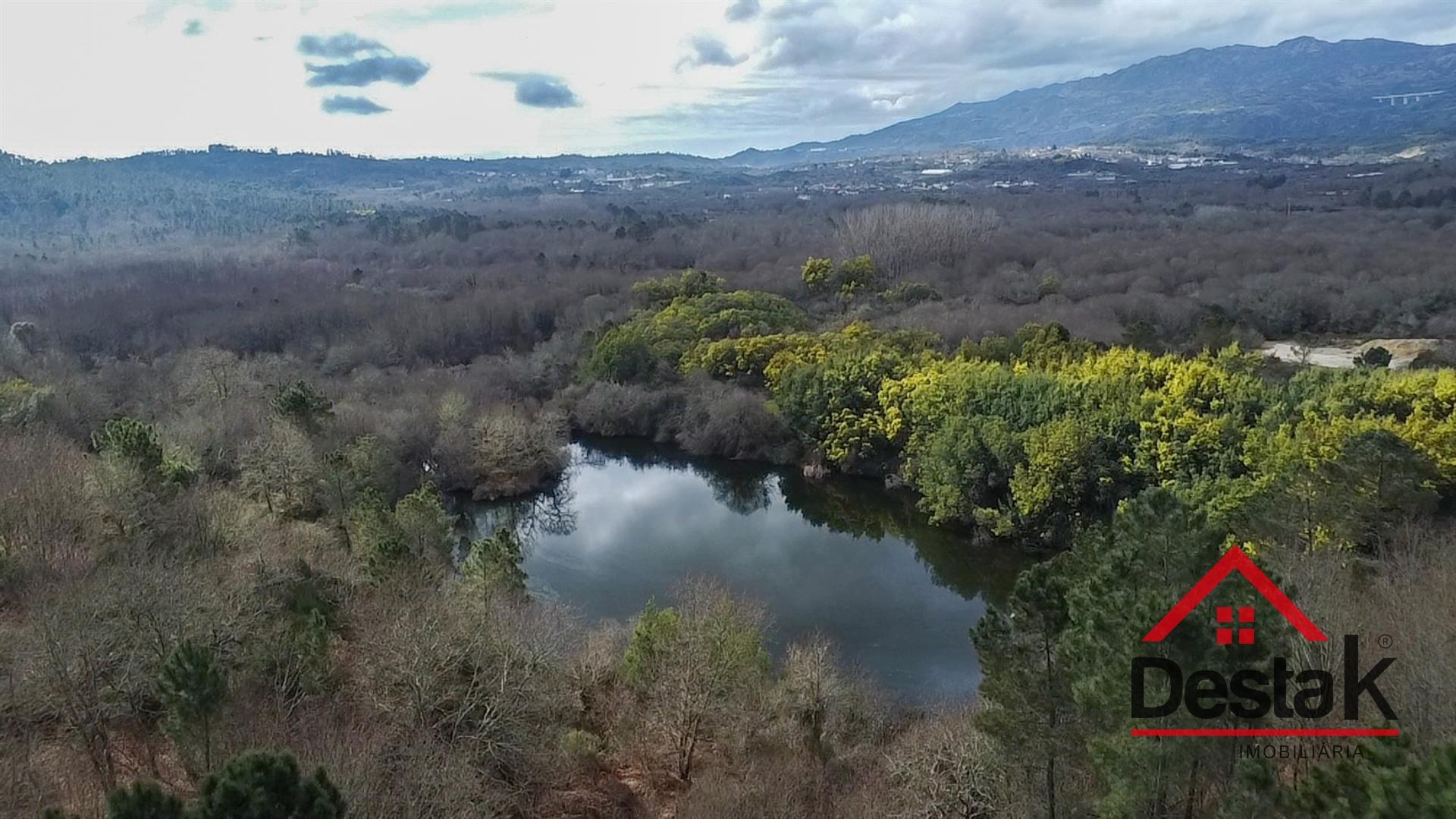 Herdade com 27 hectares para venda em Vouzela