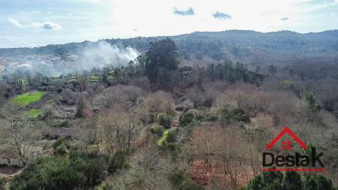 Herdade com 290.000 m2 para venda em Vouzela