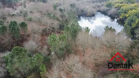 Herdade com 290.000 m2 para venda em Vouzela