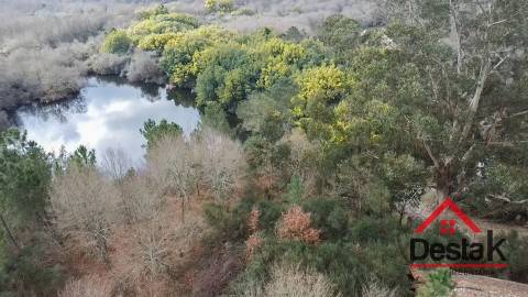 Herdade com 290.000 m2 para venda em Vouzela