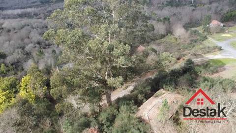 Herdade com 290.000 m2 para venda em Vouzela