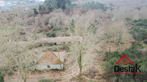 Herdade com 290.000 m2 para venda em Vouzela