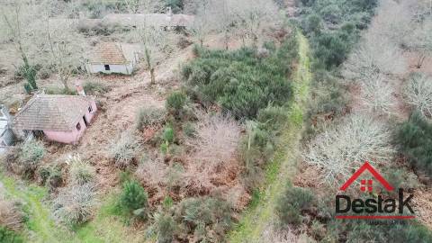 Herdade com 290.000 m2 para venda em Vouzela