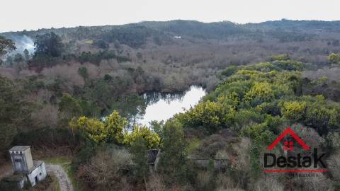 Herdade com 290.000 m2 para venda em Vouzela