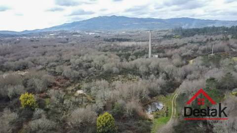 Herdade com 290.000 m2 para venda em Vouzela