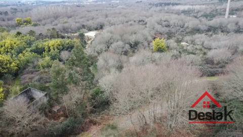 Herdade com 290.000 m2 para venda em Vouzela