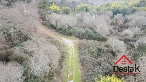 Herdade com 290.000 m2 para venda em Vouzela