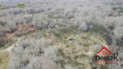 Herdade com 290.000 m2 para venda em Vouzela