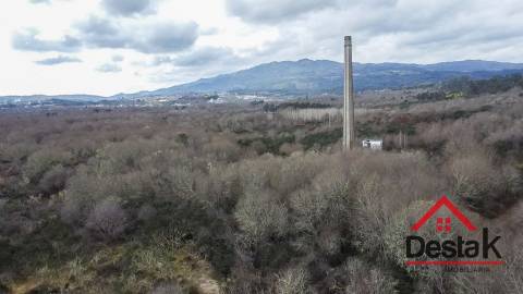 Herdade com 290.000 m2 para venda em Vouzela