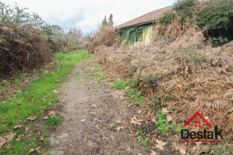 Herdade com 290.000 m2 para venda em Vouzela