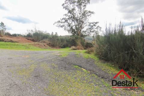 Herdade com 290.000 m2 para venda em Vouzela